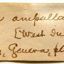 Historic Mazyck label for Bulla ampulla, 21-118.