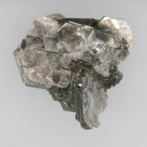 Muscovite