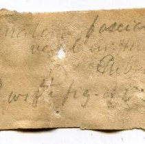 Historic label for Liguus fasciatus, 21-172.