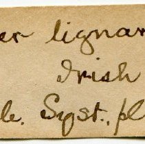 Historic Mazyck label for Scaphander lignarius, 21-128.