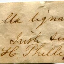 Historic label for Scaphander lignarius, 21-128.