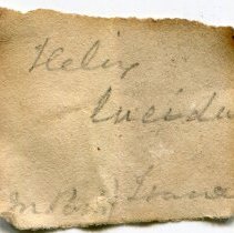 Historic label for Oxychilus draparnaudi, 21-146.