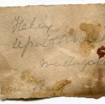 Historic label for Ampelita sepulchralis, 21-161.