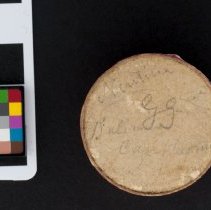 Drymaeus vincentinus, 21-002. Lid of cardboard pill box w/scale bar.