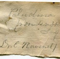 Historic label for Campeloma decisum, 21-089.