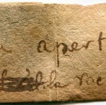 Historic label for Philine aperta, 21-126.