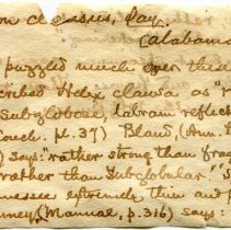 Historic Mazyck label (front) for Mesodon clausus, 21-131.