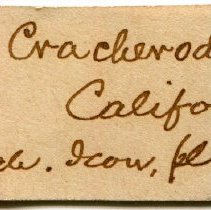 Historic Mazyck label for Haliotis cracherodii, 21-201.