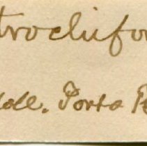 Historic Mazyck label for Cenchritis muricatus, 21-208.