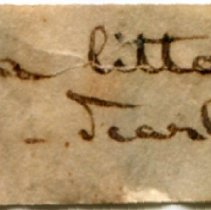 Historic label for Littorina obtusata, 21-225.