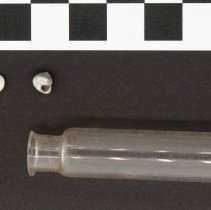 Excavata costata, 21-199. Shells with vial and scale bar.