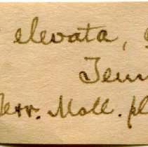 Historic Mazyck label for Mesodon elevatus, 21-252.