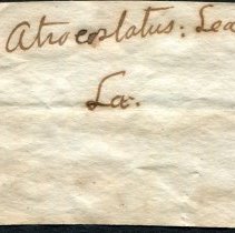 Historic label for Amblema plicata, 21-282.