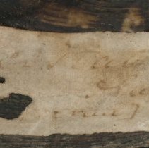 Historic label adhered to Amblema plicata, 21-282.