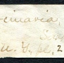 Historic Mazyck label for Mercenaria mercenaria, 21-284.