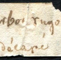 Historic label for Bolma rugosa, 21-291.