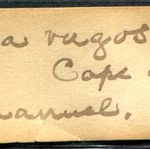 Historic Mazyck label for Bolma rugosa, 21-291.