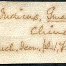 Historic Mazyck label for Onustus indicus, 21-297.