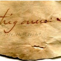 Historic label for Fusconaia flava, 21-302.