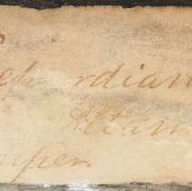 Historic label for Elliptio shepardiana, 21-308.2.