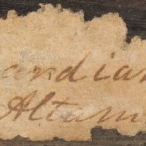 Historic label for Elliptio shepardiana, 21-308.4.