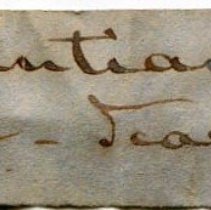 Historic label for Monacha cantiana, 21-191.