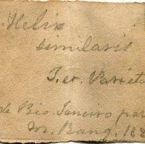 Historic label for Bradybaena similaris, 21-193.