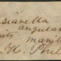 Historic label for Phasianella solida, 21-230.