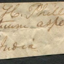 Historic label for Rhinoclavis aspera, 21-231.