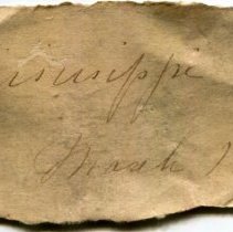 Historic label for Amblema plicata, 21-275.