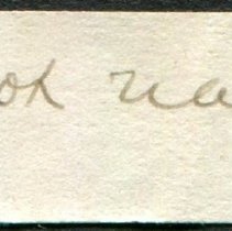 Historic Mazyck label for Unionidae indeterminate, 21-305.