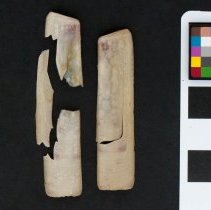 Solen marginatus, 21-323. External views w/scale bar.