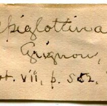 Historic Mazyck label for Natica epiglottina, 21-334.