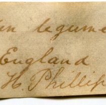 Historic label for Pharus legumen, 21-336.