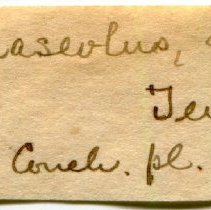 Historic Mazyck label for Ptychobranchus fasciolaris, 21-347.