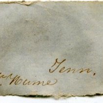 Historic label for Ptychocranchus fasciolaris, 21-347.