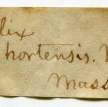 Historic label for Cepaea hortensis, 21-254.