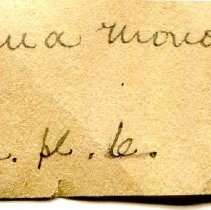 Historic Mazyck label for Margaritifera monodonta, 21-353.