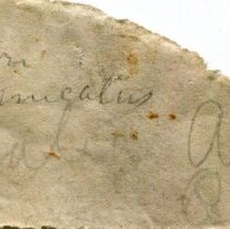 Historic label for Castalia ambigua, 21-356.