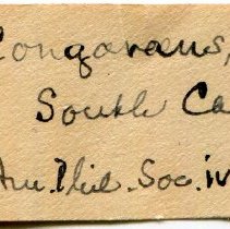 Historic Mazyck label for Elliptio congaraea, 21-386.