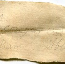 Historic label for Elliptio congaraea, 21-386.