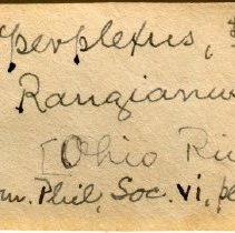 Historic Mazyck label for Epioblasma torulosa, 21-391.