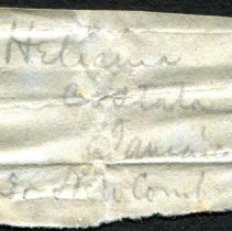 Historic label for Excavata costata, 21-199.