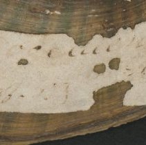 Historic label adhered to 21-277.2.