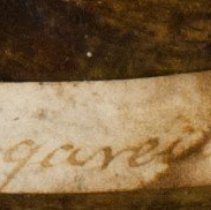 Historic label for Elliptio congaraea, 21-386.