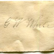 Historic label for Lampsilis dolabraeformis, 21-393.