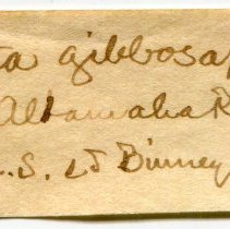 Historic Mazyck label for Utterbackiana couperiana, 21-405.