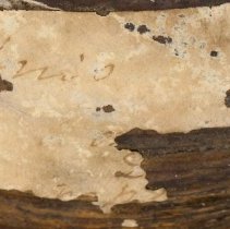 Historic label for Lampsilis ovata, 21-438.