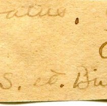 Historic Mazyck label for Lampsilis ovata, 21-438.