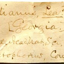 Historic Mazyck label for Elliptoideus sloatianus, 21-444.